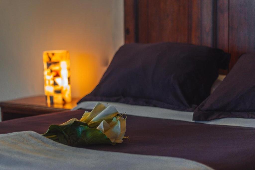 Cortijo La Casona & Bungalow Al Pie De La Montana San Cristóbal de Las Casas 外观 照片