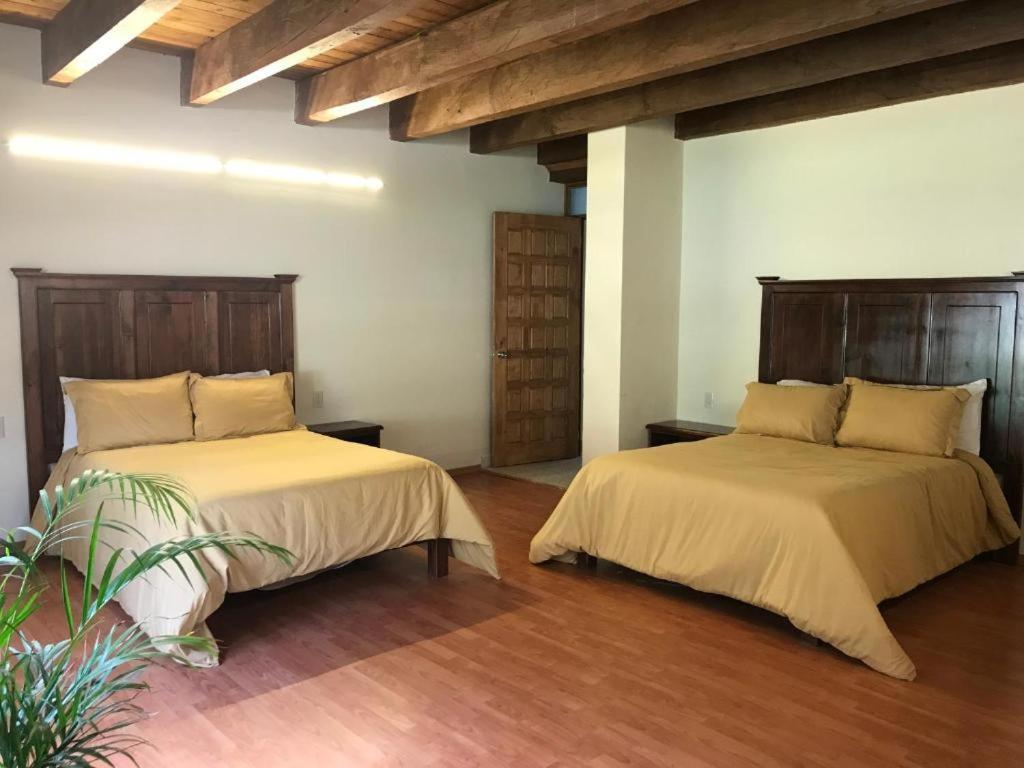 Cortijo La Casona & Bungalow Al Pie De La Montana San Cristóbal de Las Casas 外观 照片